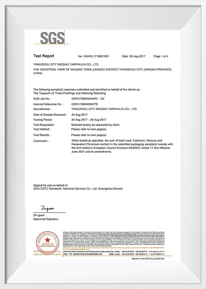 Detectarea standard excesivă a metalelor grele (engleză)